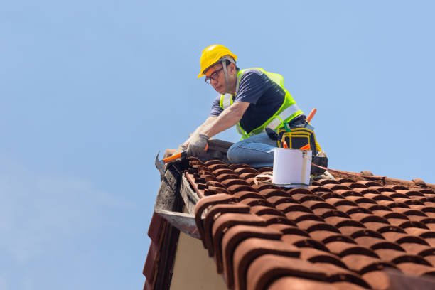 Best Asphalt Shingle Roofing  in Grandview, TX